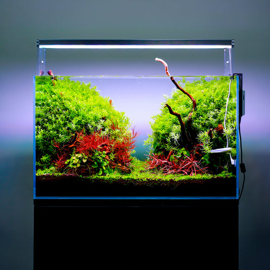 TWINSTAR 200E Ver.5.0 – Compact Premium Aquarium Light for 20cm / 8″ Planted Tank