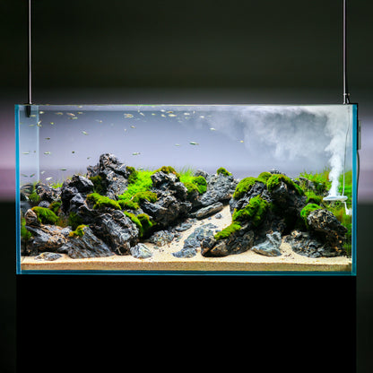 TWINSTAR NANO - Aquarium Sterilizer