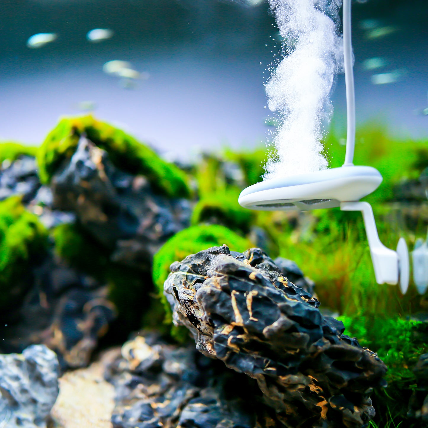 TWINSTAR NANO - Aquarium Sterilizer
