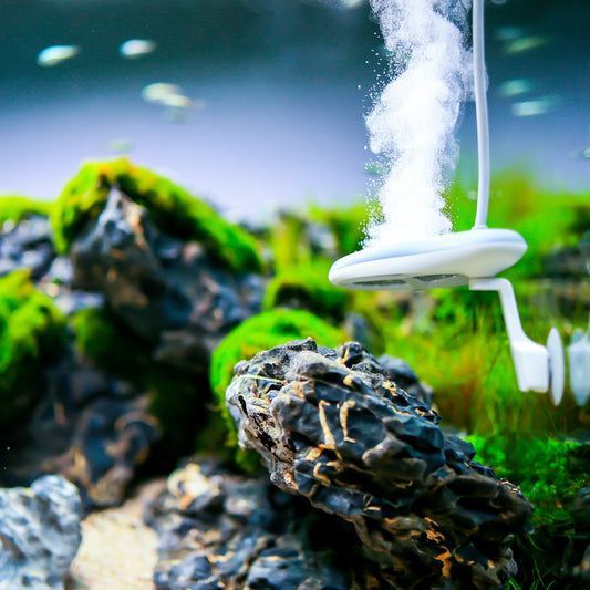 TWINSTAR NANO - Aquarium Sterilizer