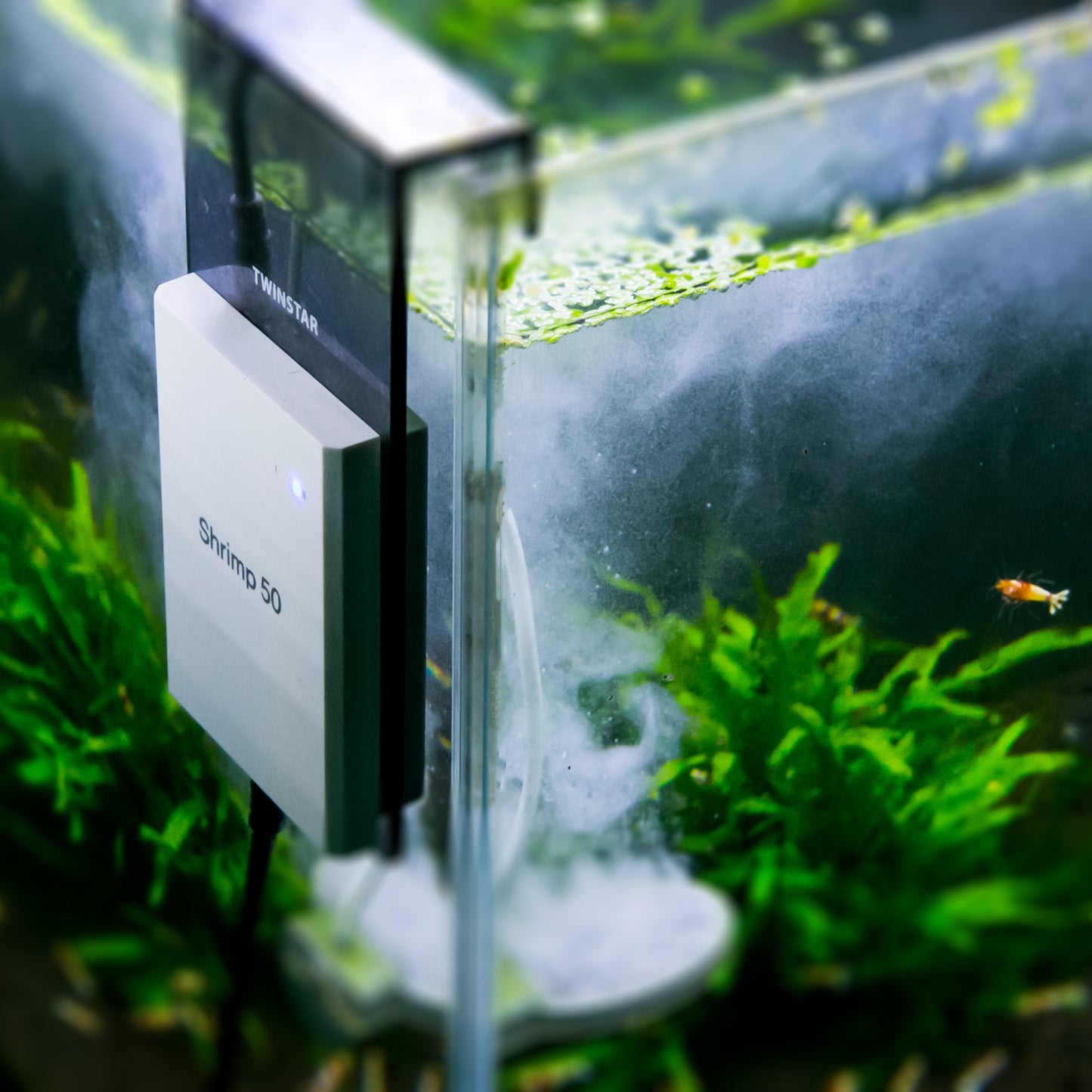 TWINSTAR NANO - Aquarium Sterilizer