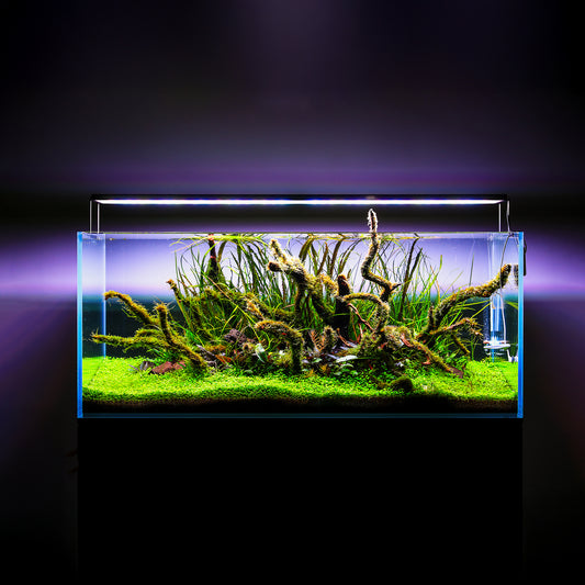 TWINSTAR 900S Ver.5.0 – Premium WRGB Light for 90cm (36") Planted Aquarium
