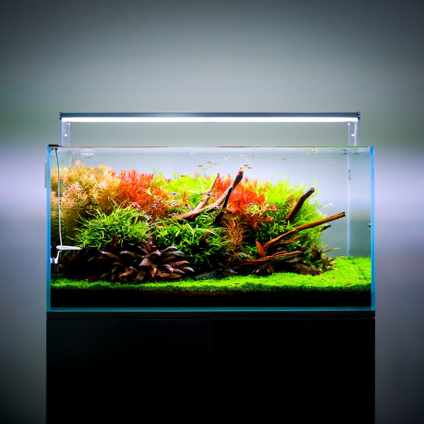 TWINSTAR 1200E Ver.5.0 – Compact Premium Aquarium Light for 120cm / 48" tank