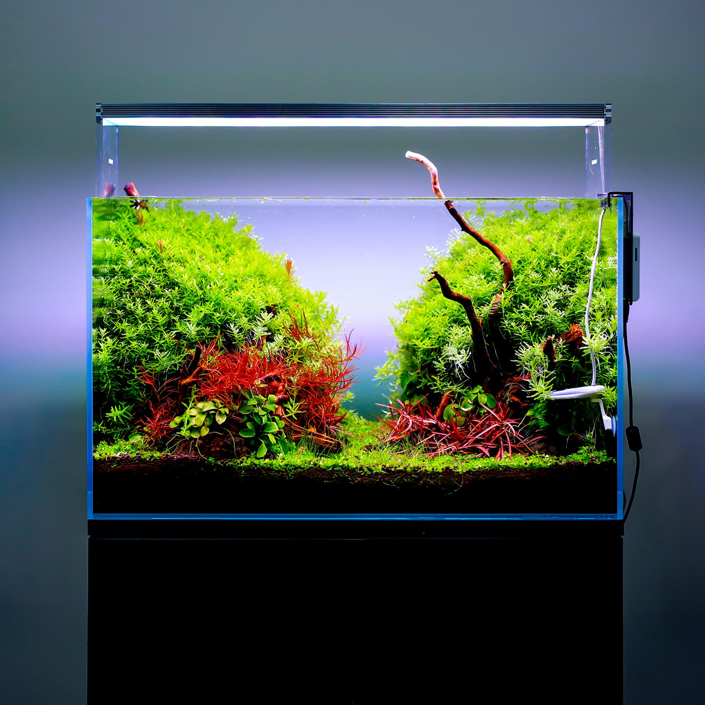 TWINSTAR 200E Ver.5.0 – Compact Premium Aquarium Light for 20cm / 8″ Planted Tank