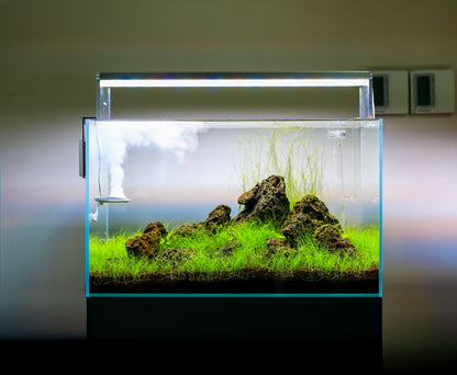 TWINSTAR NANO - Aquarium Sterilizer